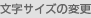 文字サイズの変更
